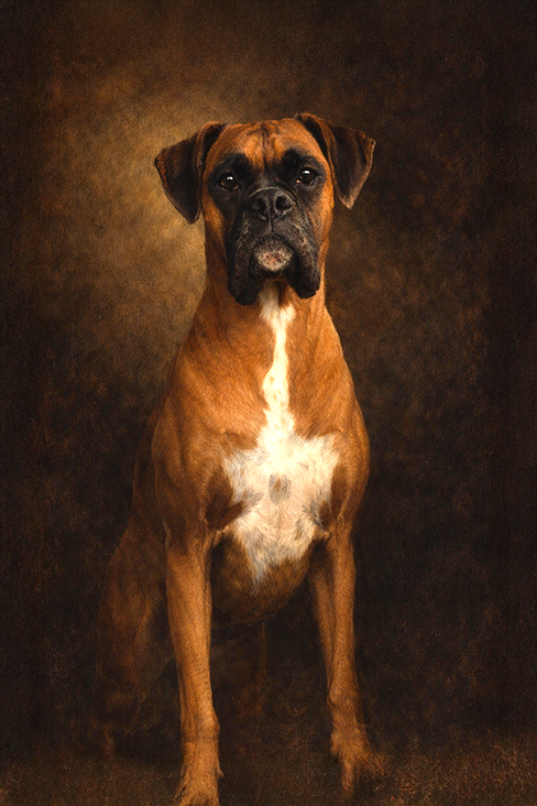 Oil Painting