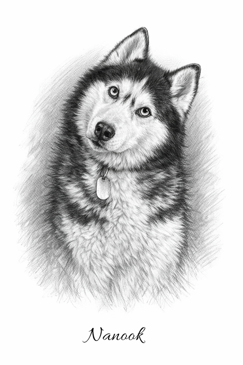 Sketch