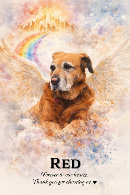 In Loving Memory